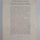 Eva Mannerheim Sparre : Taiteilijaelämää - pikkukuva 2