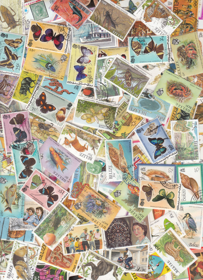 BELIZE 99 erilaista uutta