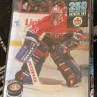 Patrick Roy 250 palan palapeli - pikkukuva 1