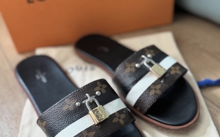 Louis Vuitton aito