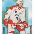 Jääkiekko n:o 348 TOMAS KUCHARCIK. Ässät. Pori. - pikkukuva 1