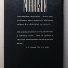 Toni Morrison - Sinisimmät silmät - pikkukuva 3