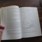 SUOMEN VOIMA TALVISODASSA - sotahistoriallinen aikakauskirja - pikkukuva 4