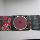Ismo Alanko Säätiö CD Sisäinen Solarium, DIGIPACK v.2000 - pikkukuva 2