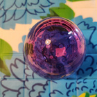 Iittala Oiva Toikka vuosimuna 2021 Kesuri, signeerattu - pikkukuva 3