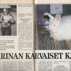 Pellervo n:o 16 1986 Punkaharju. Pirttikoski. Valamo. Kani. - pikkukuva 2