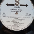 Toni Edelmann : Lasinen vuori. - pikkukuva 3