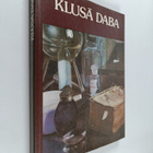 Dace Lamberga : Klusa daba : 20.-21. gadsimts - Still life - pikkukuva 1