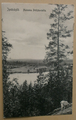 Jyväskylä, maisema Petäjävedellä,mv pk, p. 1915 + sensuuril.