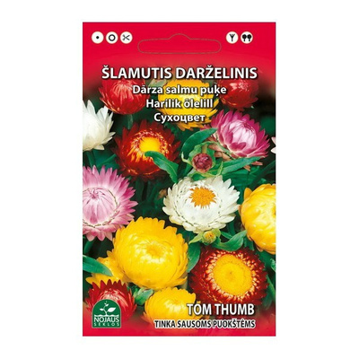 Iso-olkikukka "Tom Thumb" sekoitus - siemenet #