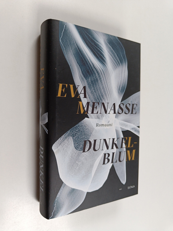 Eva Menasse : Dunkelblum : romaani