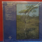 PIIRPAUKE - SOI VIENOSTI MURHEENI SOITTO EX-/VG+ LP - pikkukuva 2