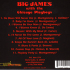 Big James & The Chicago Playboys: Funkin' Blues - pikkukuva 2