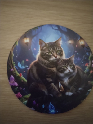 Kissa jääkaappi magneetti.