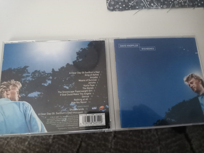 David Knopfler - Wishones