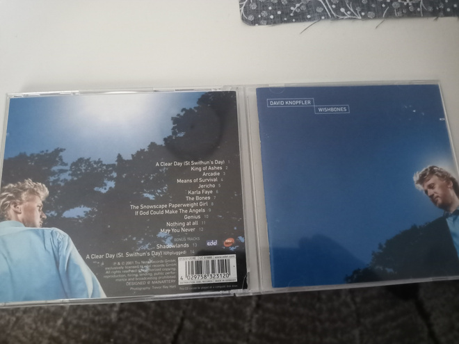 David Knopfler - Wishones