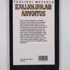 Tuulikki Metsola : Kallioluolan arvoitus - pikkukuva 2