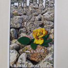 Kathryn Hulme : Nunnan tarina - pikkukuva 2