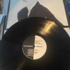 Lisa Stansfield: Affection LP - pikkukuva 3