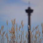 Samyang 135mm Canon / MFT - pikkukuva 3