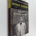 James Baldwin : Kukaan ei tiedä nimeäni - pikkukuva 1