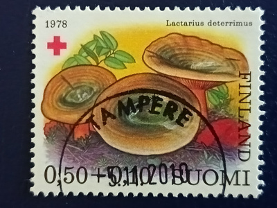 PR-78.Loisto