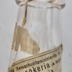 VANHA Pullo Banaani Siideri Vesitehdas Virolahti n. 1930-l - pikkukuva 3