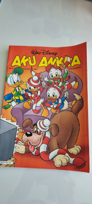 AKU ANKKA 34 / 2004