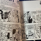 The Spirit Dailies - Will Eisner 1980 - pikkukuva 3