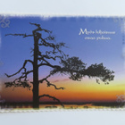 Myös hiljaisuus osaa puhua (Karto) - pikkukuva 1
