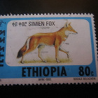 Etiopia: Simien kettu - pikkukuva 4