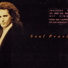 Michael Bolton- Soul Provider (LP) - pikkukuva 1