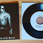 Darkthrone: In the Shadow of the Horns 7" - pikkukuva 1