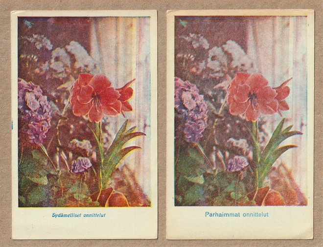 Vanhat onnittelukortit: amaryllis