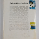 Brigitta Gadolin : Salaperäinen Sardinia - pikkukuva 2
