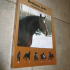 ORIKIRJA 2007 - CHRISTINA BRANDT - pikkukuva 1