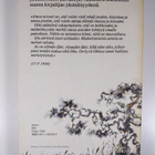 Pentti Haanpää : Muistiinmerkintöjä vuosilta 1925-1939 - pikkukuva 2