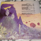 ZZ Top - Tejas LP US Warner 1979 - pikkukuva 3