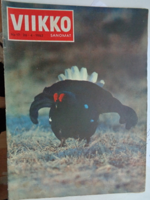 Viikkosanomat Nro 17/1963 (6.5)