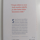 Sanna Puutonen : Sydänmuuri - pikkukuva 2