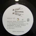 Zion Steppers – Dread Inom Stockholm (RARE reggae-LP 1981) - pikkukuva 3