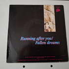 RIVERSIDE RAIDERS - RUNNING AFTER YOU 7 " Single - pikkukuva 2