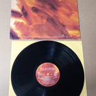 PAUL MCCARTNEY  FLOWERS IN THE DIRT LP - pikkukuva 2