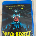 Wild Beasts - pikkukuva 1