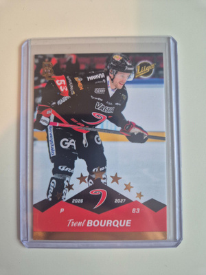 Trent Bourque - Base Gold /100 (Blueline 2026-27)
