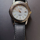 Citizen ecodrive - pikkukuva 1