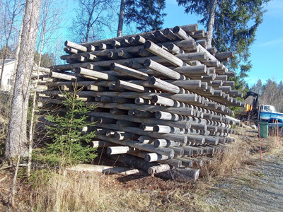 Pyöröhirsi 200 mm