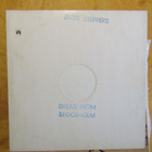 Zion Steppers – Dread Inom Stockholm (RARE reggae-LP 1981) - pikkukuva 1