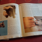 THE COMPLETE BOOK OF THE CAT - pikkukuva 5