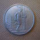 Suunnistus mitali - pikkukuva 1